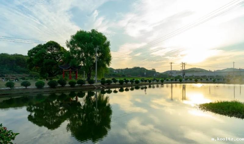 干汊河镇：泉堰之秋