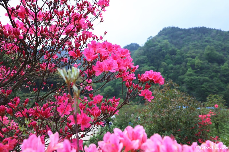 晓天镇：云雾缭绕挂龙尖