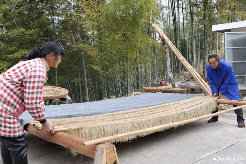 晓天镇：手工粉丝富农家