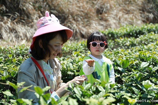 河棚镇：亲子游带火乡村游