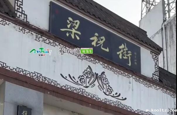 【游舒城】杨主任来跟大家介绍南港镇的舒城小兰花啦