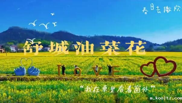 【游舒城】沉醉在舒城春天的油菜花里