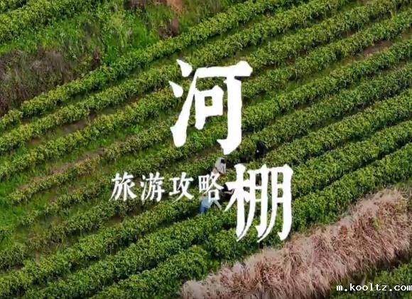 【游舒城】河棚镇茶旅攻略 河棚镇茶旅攻略来啦