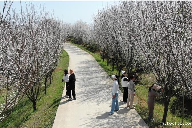 城关镇：和美乡村入画来