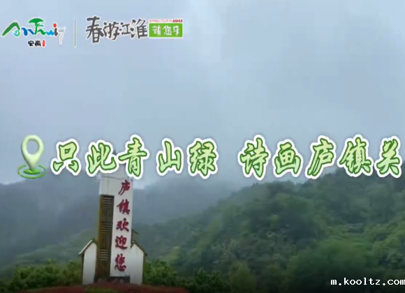 【游舒城】只此青山绿，诗画庐镇关