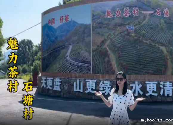 【舒城文旅】魅力茶村——舒茶镇石塘村