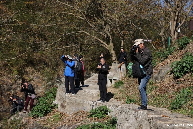 晓天镇：省市摄影家一行聚焦大别山狼谷景区