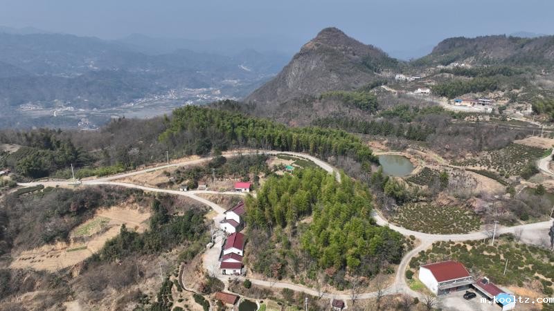 晓天镇：蒿香四溢小山村