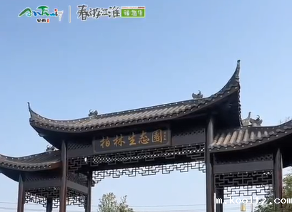 【舒城文旅】寻春而来～柏林生态园—舒城的春天怎能少了那一丛丛蒿子