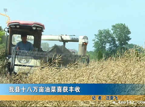 我县十八万亩油菜喜获丰收