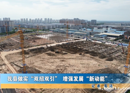 我县做实“双招双引”增强发展“新动能”