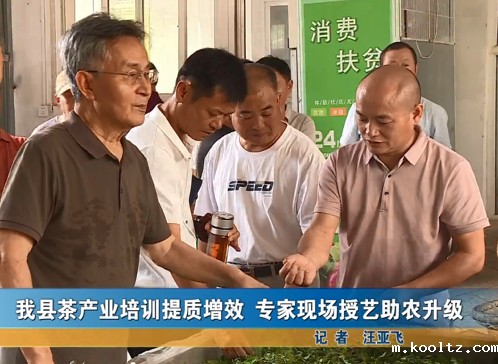 我县茶产业培训提质增效 专家现场授艺助农升级
